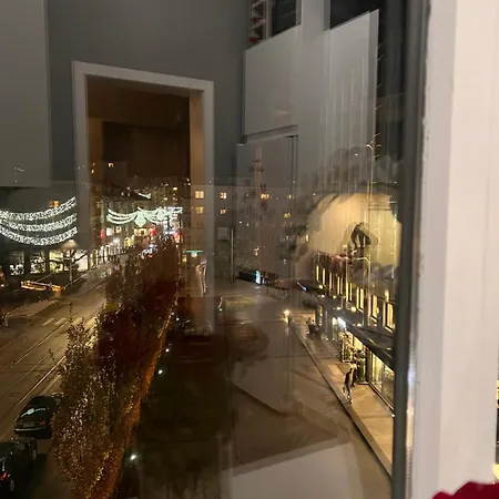 Center Close To Norwegian Kings Palace