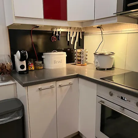 Appartement Center Close To Norwegian Kings Palace Oslo