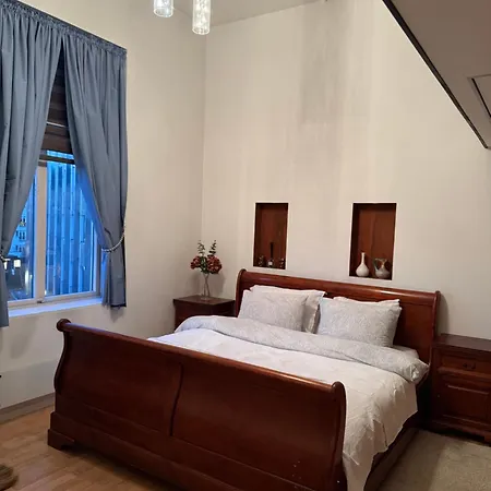 Center Close To Norwegian Kings Palace * Oslo